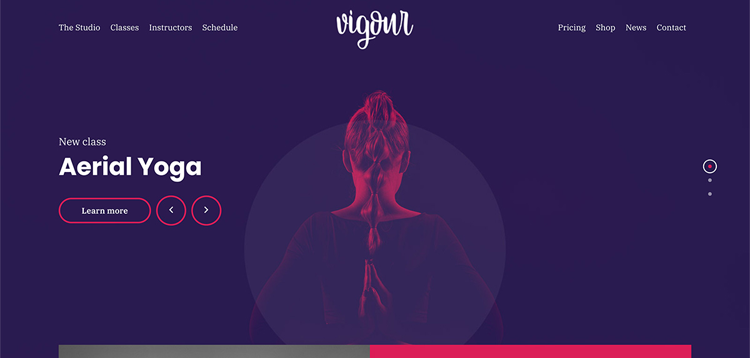 Item cover for download CSSIgniter Vigour – WordPress Theme