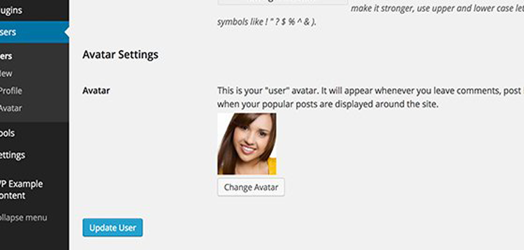 Item cover for download WPMU DEV Avatars For Multisite