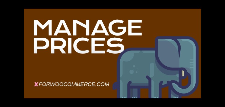 Item cover for download Bulk Price Editor for WooCommerce