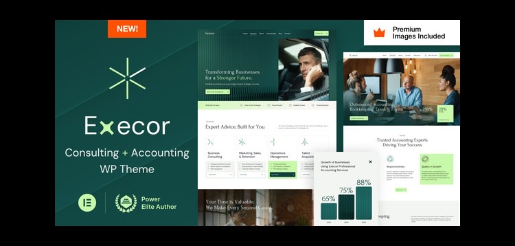 Item cover for download Execor – Accounting and Management Consulting WordPress Theme