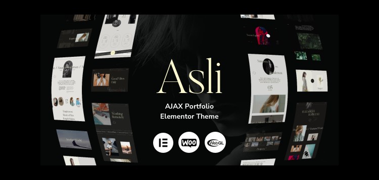 Item cover for download Asli – AJAX Portfolio Elementor WordPress Theme