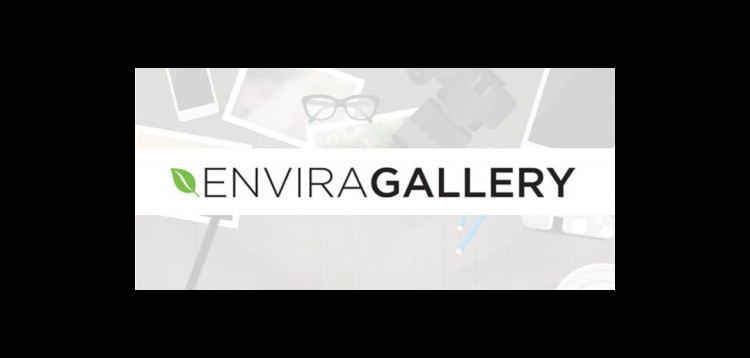 Item cover for download Envira Gallery Importer Addon