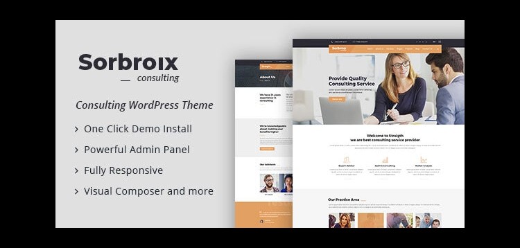 Item cover for download Sorbroix : Business Consulting WordPress Theme
