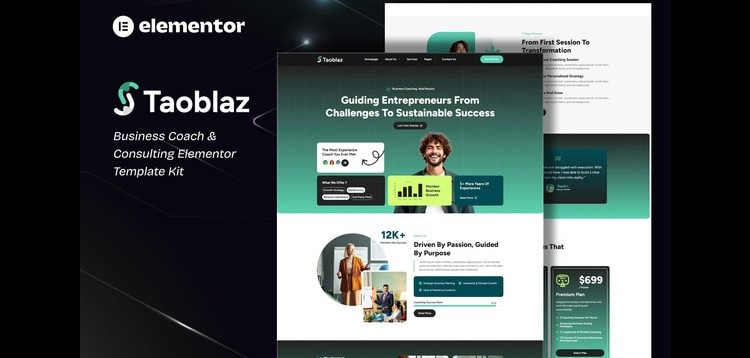 Item cover for download Taoblaz - Business Coach & Consulting Elementor Template Kit