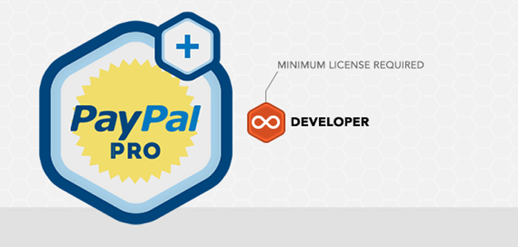 Item cover for download Gravity Forms Paypal Pro