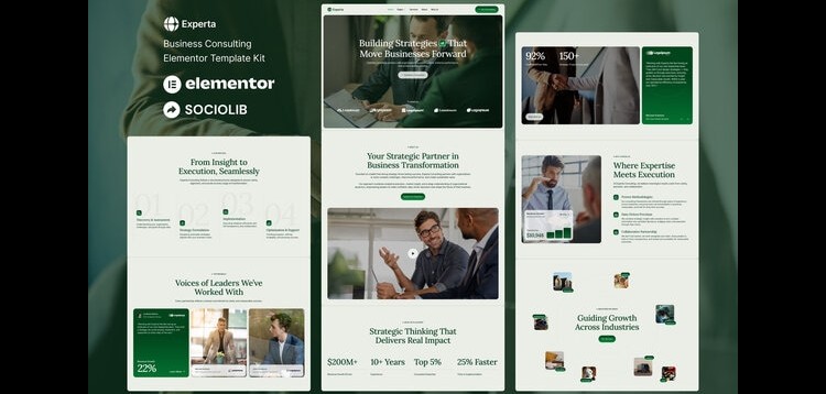 Item cover for download Experta - Business Consulting Elementor Template Kit