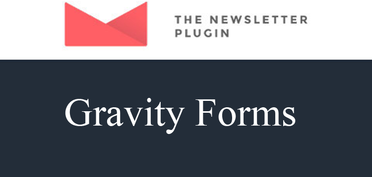 Item cover for download Newsletter Gravity Forms