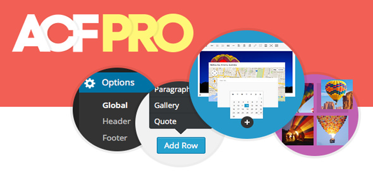 Item cover for download Advanced Custom Fields Pro