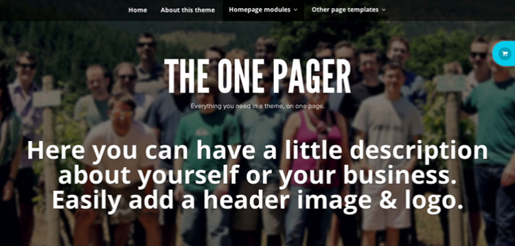 Item cover for download The One Pager Version