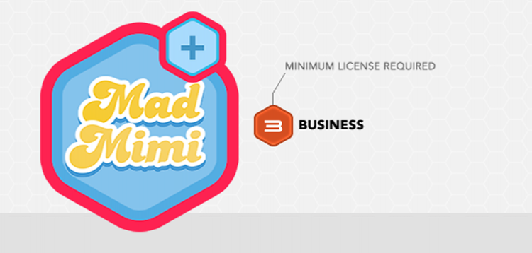 Item cover for download Gravity Forms Mad Mimi