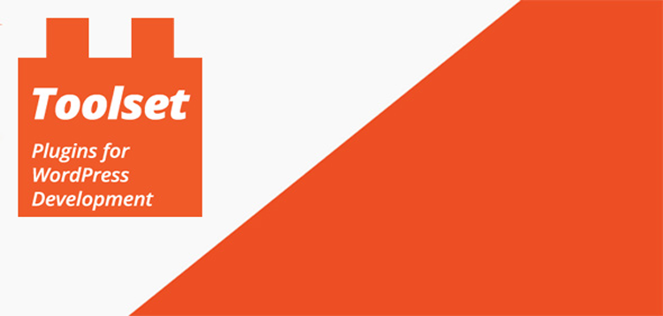 Item cover for download Toolset Access