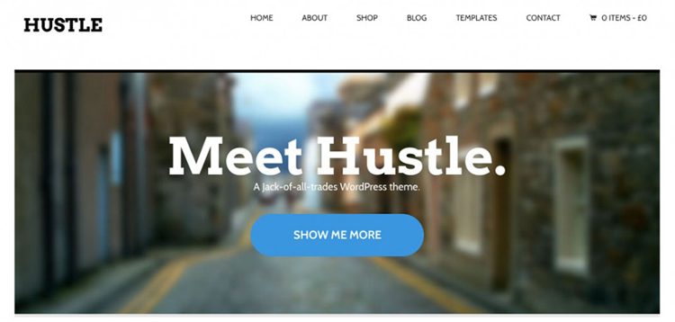 Item cover for download Woocommerce Hustle