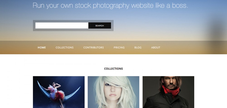 Item cover for download Graph Paper Press Stock Photography Premium WordPress Theme