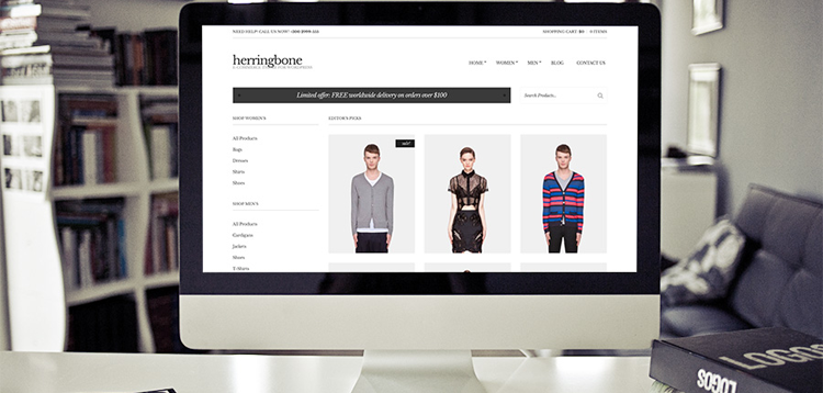 Item cover for download CSSIgniter Herringbone WordPress Theme
