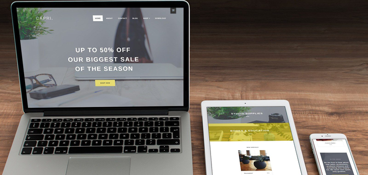 Item cover for download ThemeIsle Didi WordPress Theme 