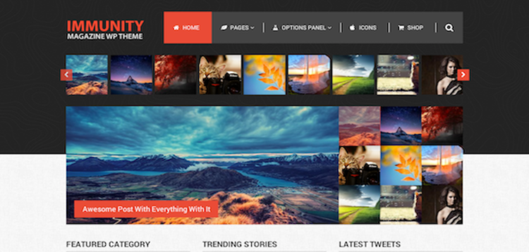 Item cover for download MyThemeShop Immunity WordPress Theme