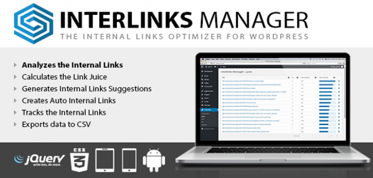 Item cover for download Interlinks Manager