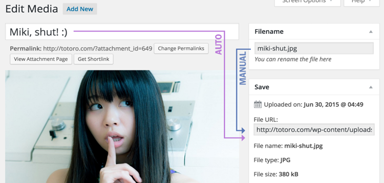 Item cover for download Media File Renamer PRO