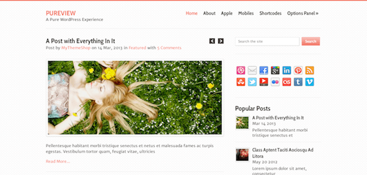 Item cover for download MyThemeShop Pureview WordPress Theme