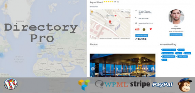 Item cover for download CodeCanyon Directory Pro