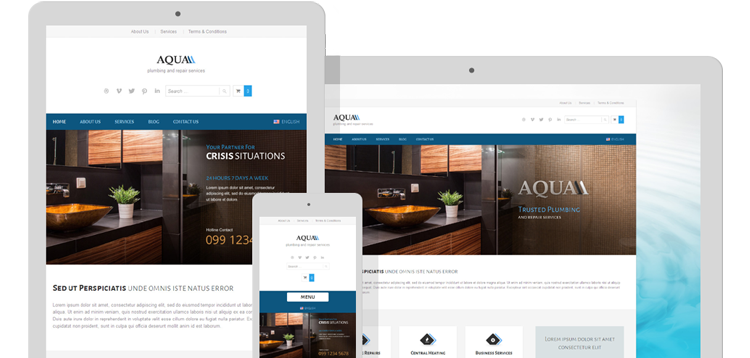 Item cover for download AIT - Aqua WordPress Theme