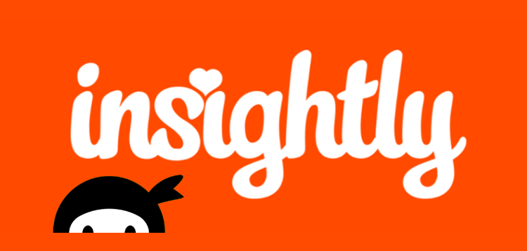 Item cover for download Ninja Forms - Insightly CRM