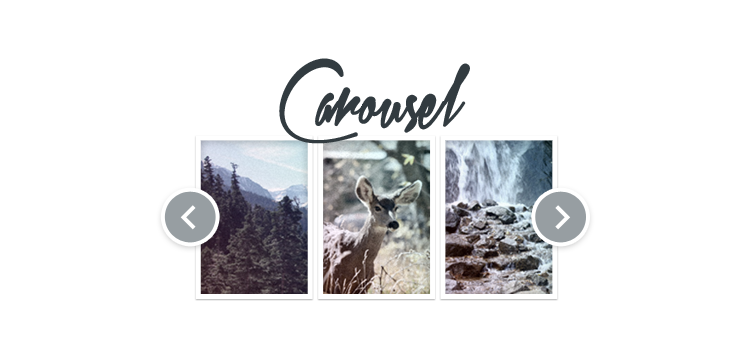 Item cover for download iThemes - DisplayBuddy Carousel