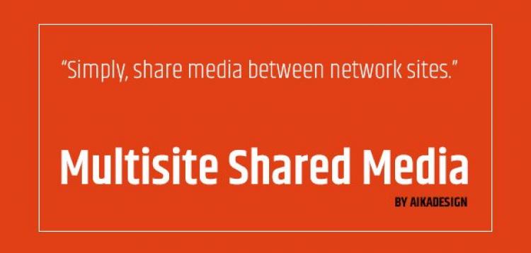 Item cover for download WordPress Multisite Shared Media