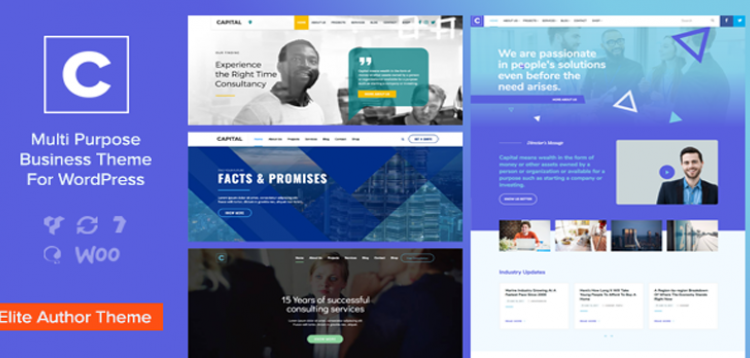 Item cover for download Capital - Multi Purpose Business WordPress Theme