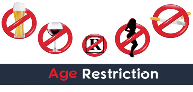 Item cover for download Premium Age Verification/Restriction for WordPress