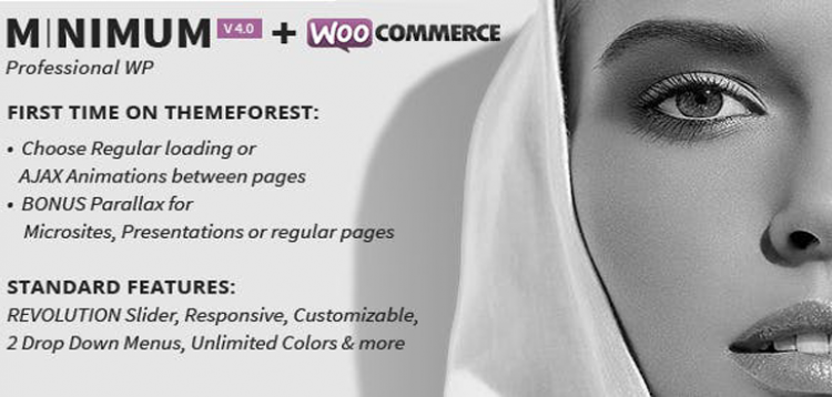 Item cover for download MINIMUM - Professional WordPress Theme