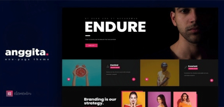 Item cover for download Anggita - One Page Portfolio Theme