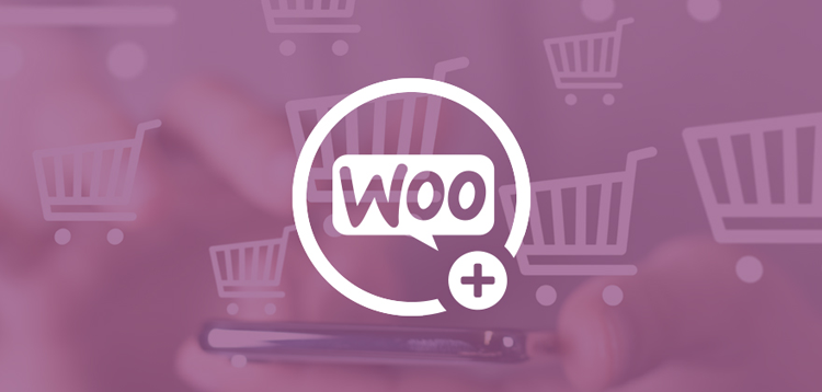 Item cover for download Gravity Flow - WooCommerce Extension