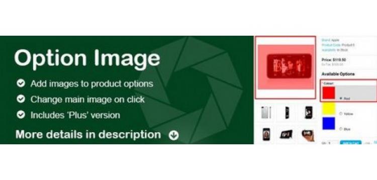 Item cover for download Option Image