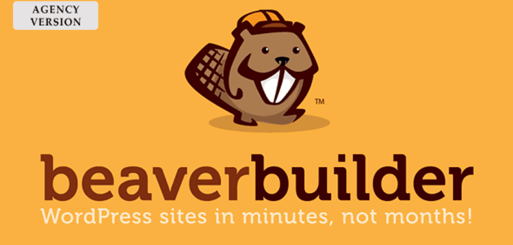 Item cover for download BEAVER BUILDER AGENCY