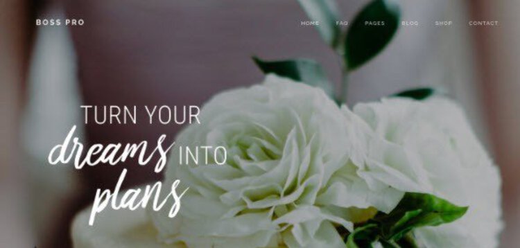 Item cover for download STUDIOPRESS BOSS PRO THEME