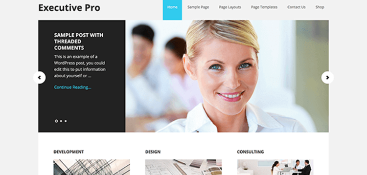 Item cover for download STUDIOPRESS EXECUTIVE PRO