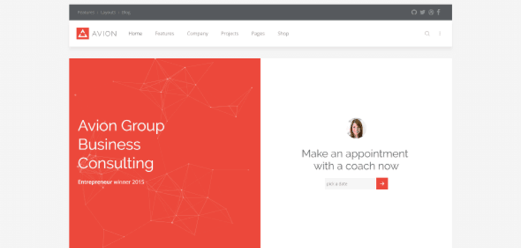 Item cover for download YOOTHEME AVION