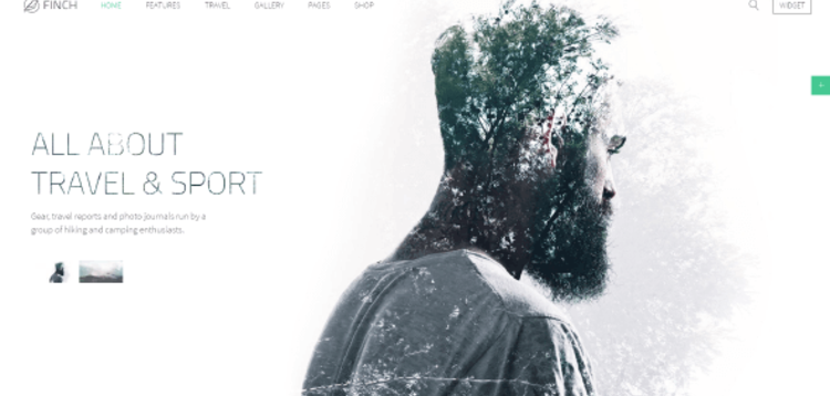 Item cover for download YOOTHEME FINCH