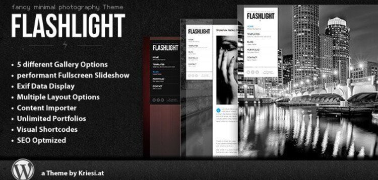 Item cover for download FLASHLIGHT – FULLSCREEN BACKGROUND PORTFOLIO THEME