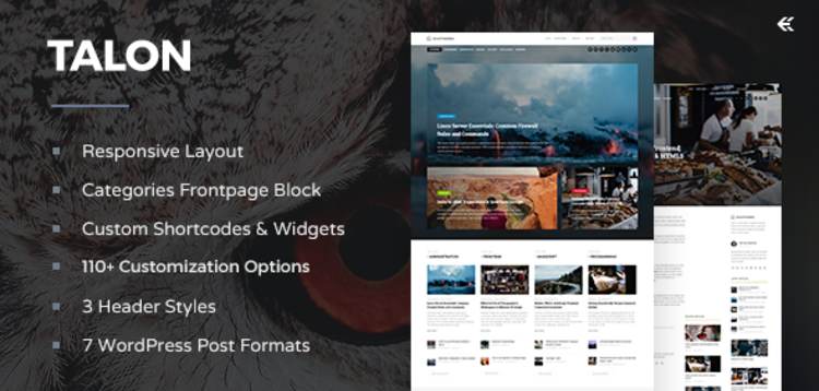 Item cover for download TALON - RESPONSIVE WORDPRESS THEME