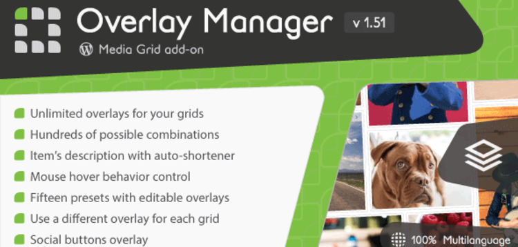 Item cover for download MEDIA GRID - OVERLAY MANAGER ADD-ON
