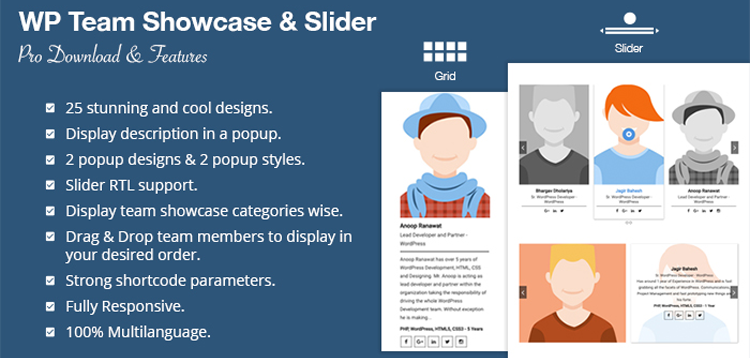 Item cover for download WP OnlineSupport WP Team Showcase and Slider Pro