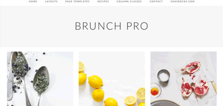 Item cover for download STUDIOPRESS BRUNCH PRO THEME