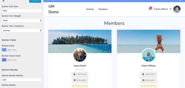 Item cover for download Ultimate Member Theme