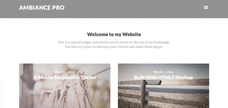 Item cover for download STUDIOPRESS AMBIANCE PRO THEME
