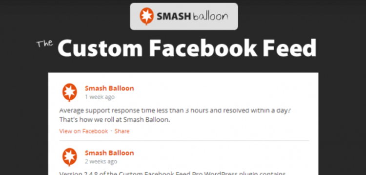 Item cover for download CUSTOM FACEBOOK FEED PRO - MASONRY COLUMNS EXTENSION