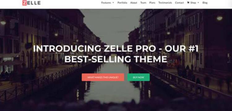 Item cover for download ZELLE PRO