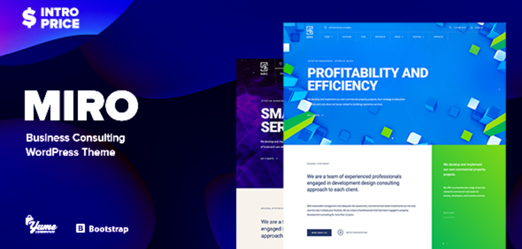 Item cover for download MIRO - BUSINESS CONSULTING WORDPRESS THEME