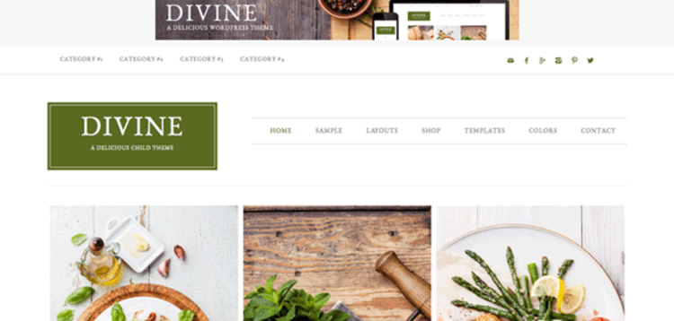 Item cover for download STUDIOPRESS DIVINE THEME